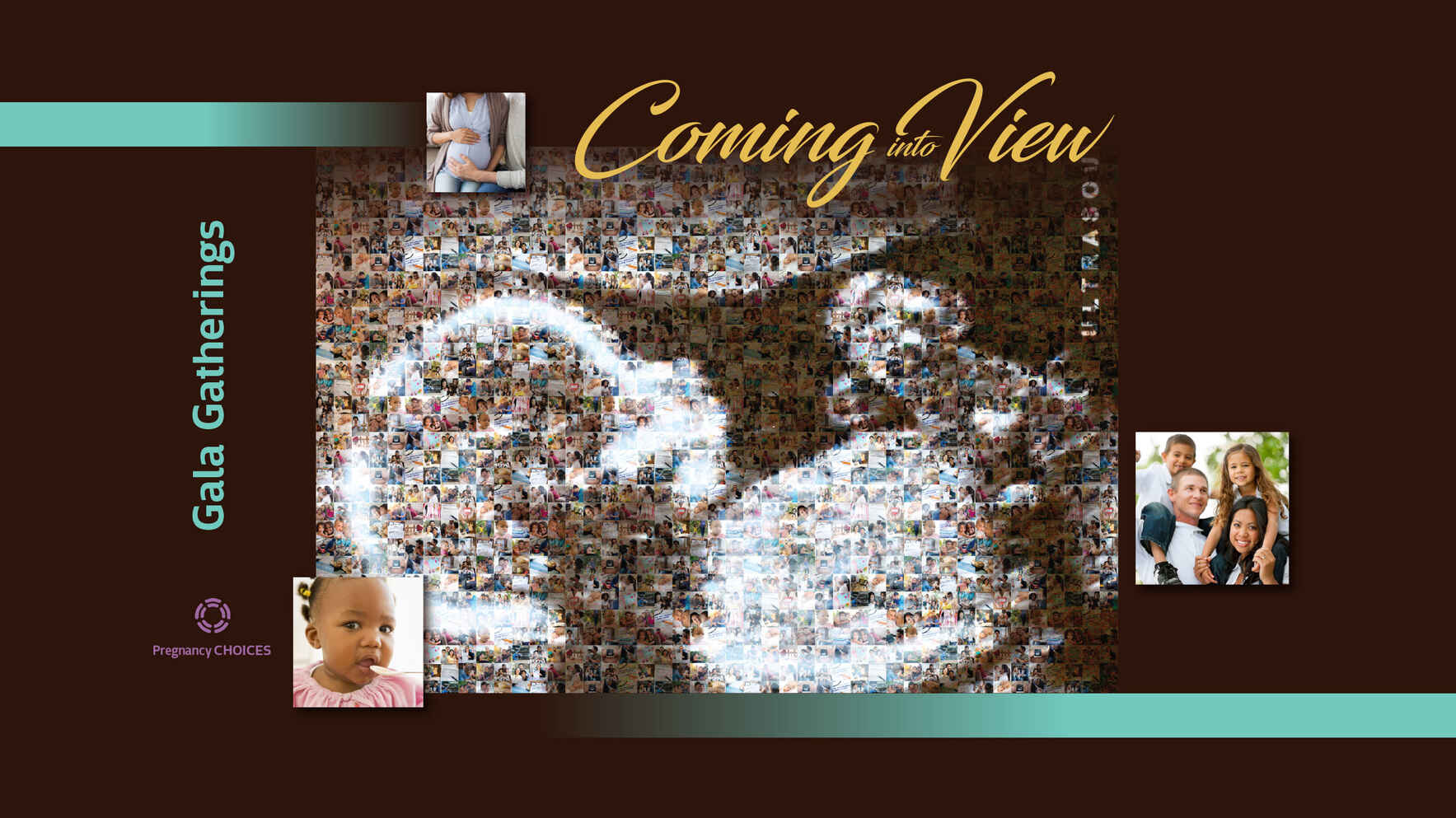 Coming into View  image