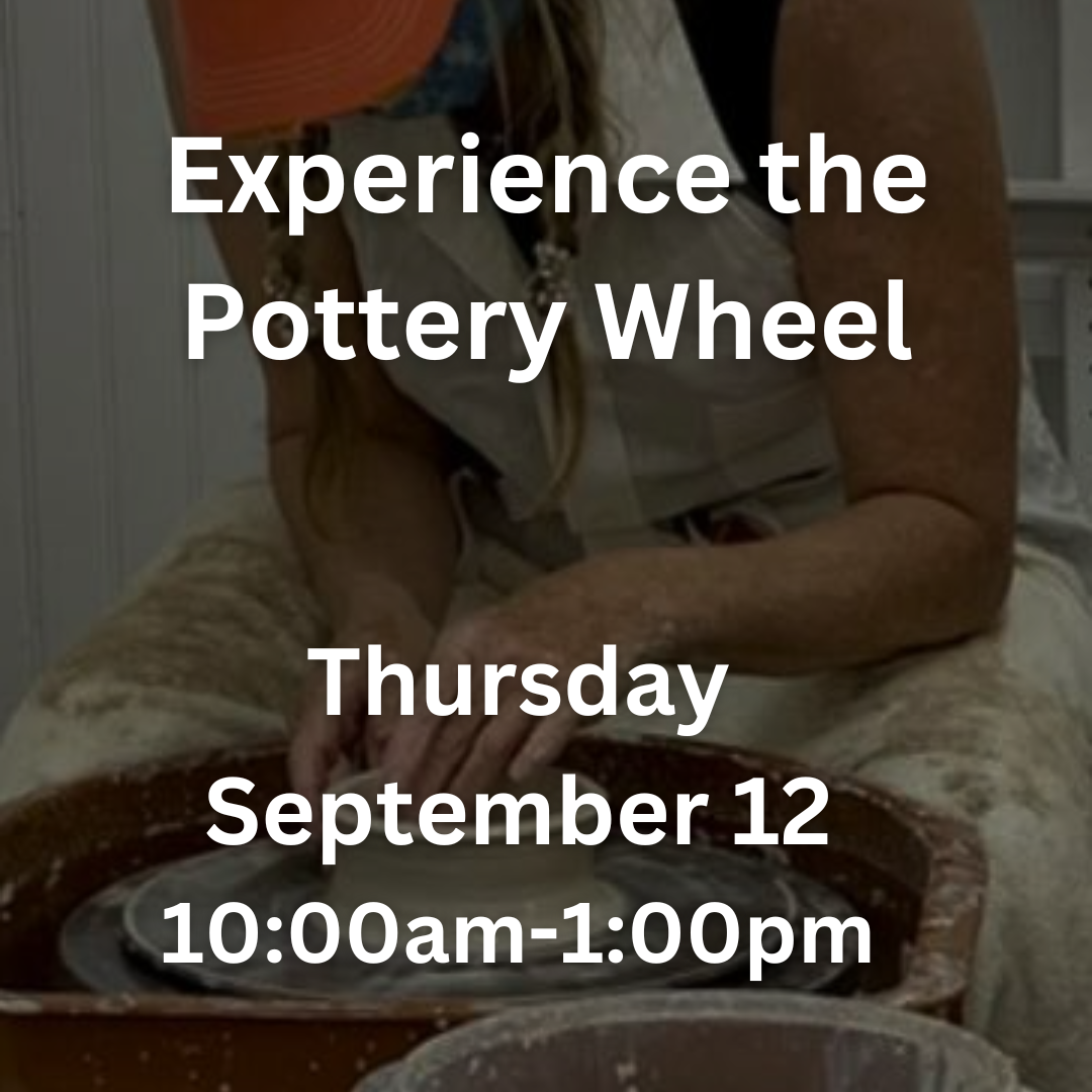 Experience the Pottery Wheel with Professional Potter LeaAyn Shurley image