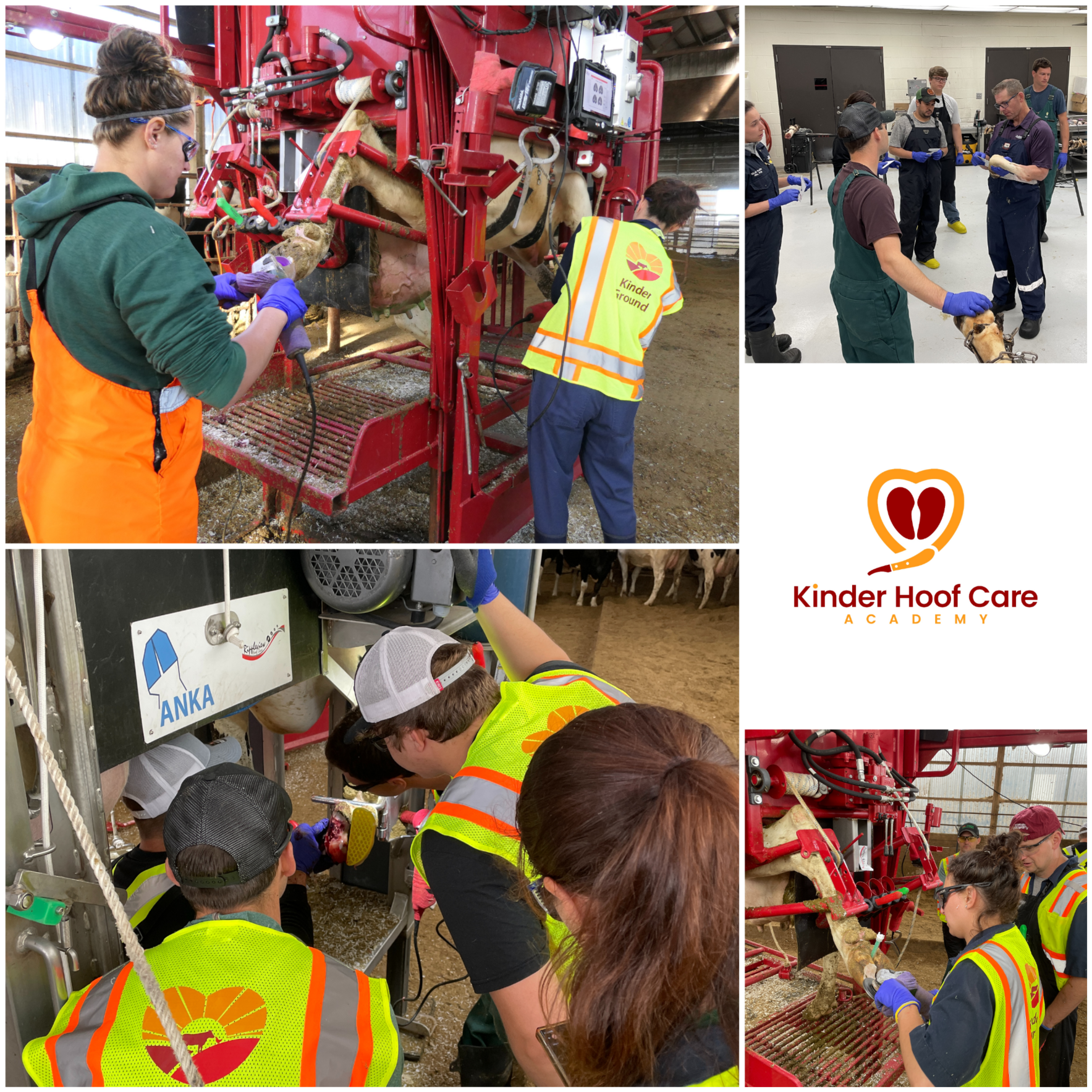 Kinder Hoof Care Academy - Trimmer Training - REGISTRATION CLOSED - COME BACK FEBRUARY 1 - But feel free to donate!  image