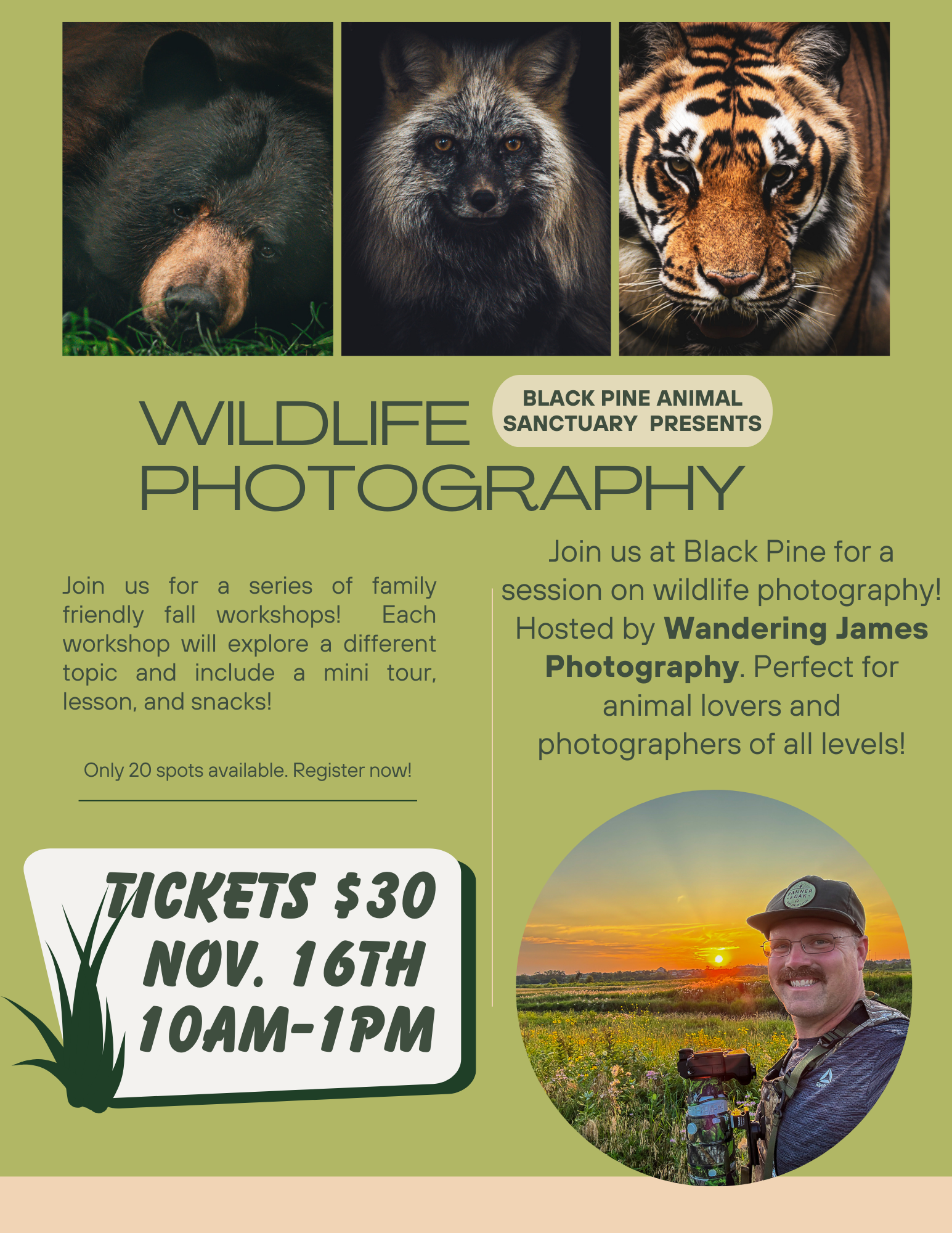 Wildlife Photography Workshop image