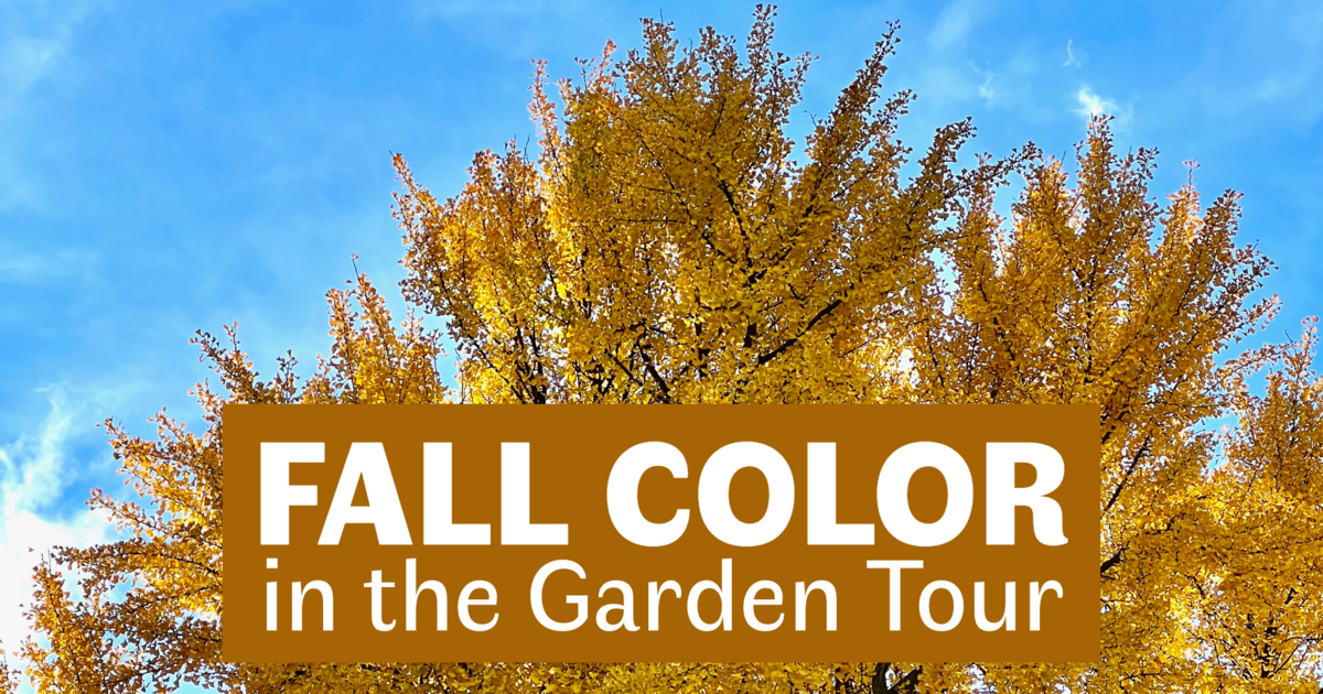 Civic Garden Center of Greater Cincinnati - Fall Color in the Garden Tour