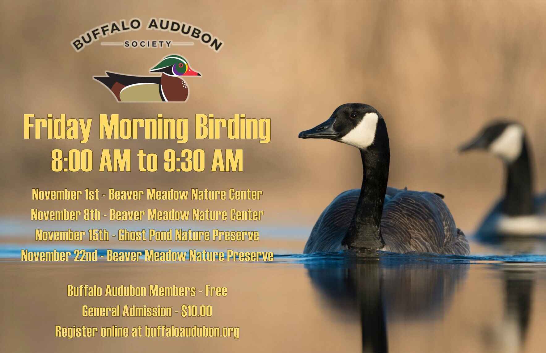 Friday Morning Birding image