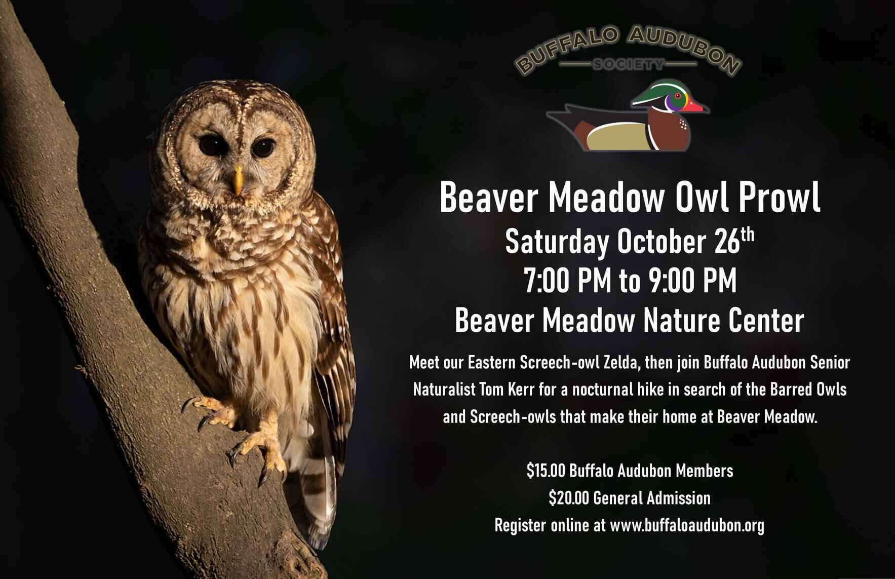 Beaver Meadow Owl Prowl image