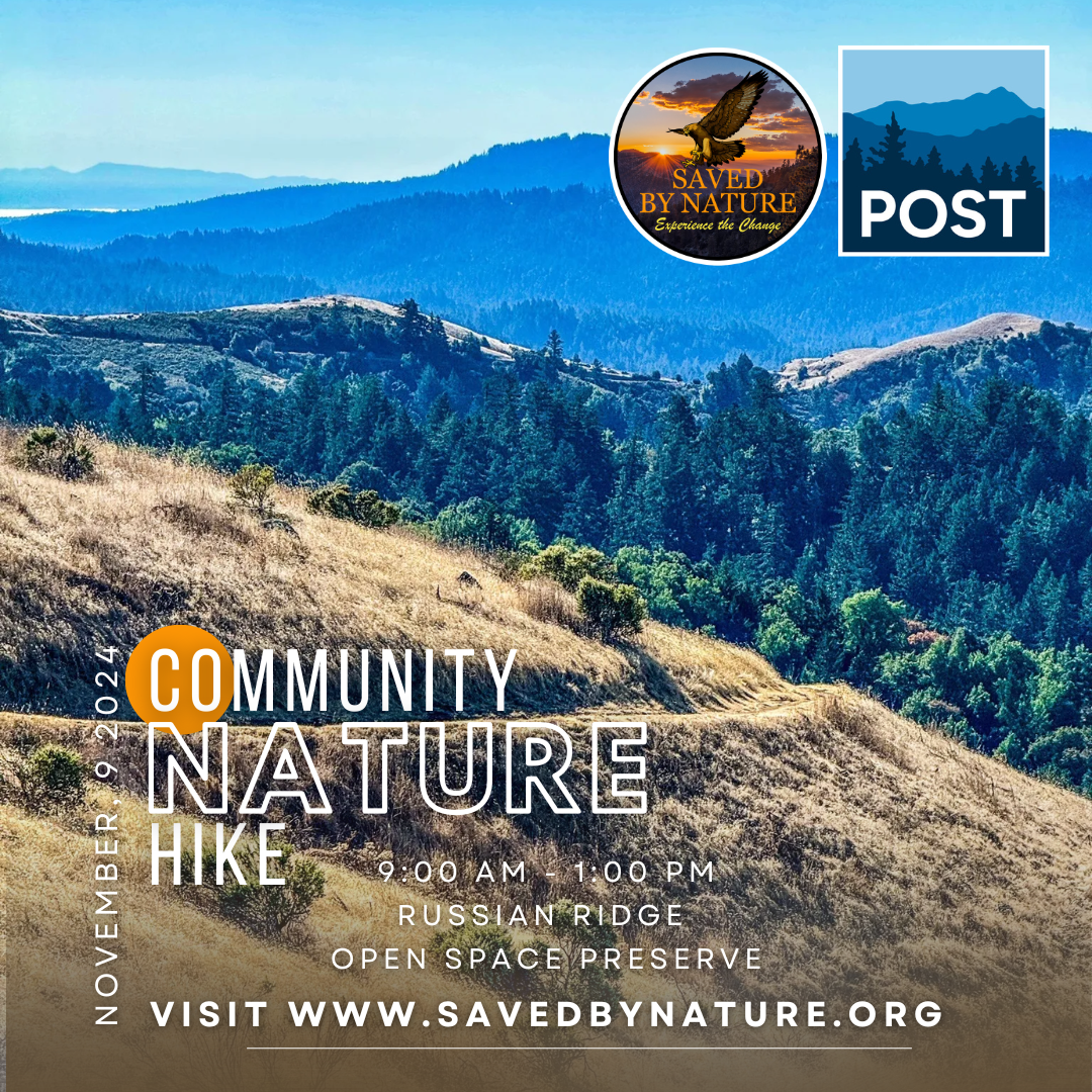 Community Nature Hike at Russian Ridge Preserve image
