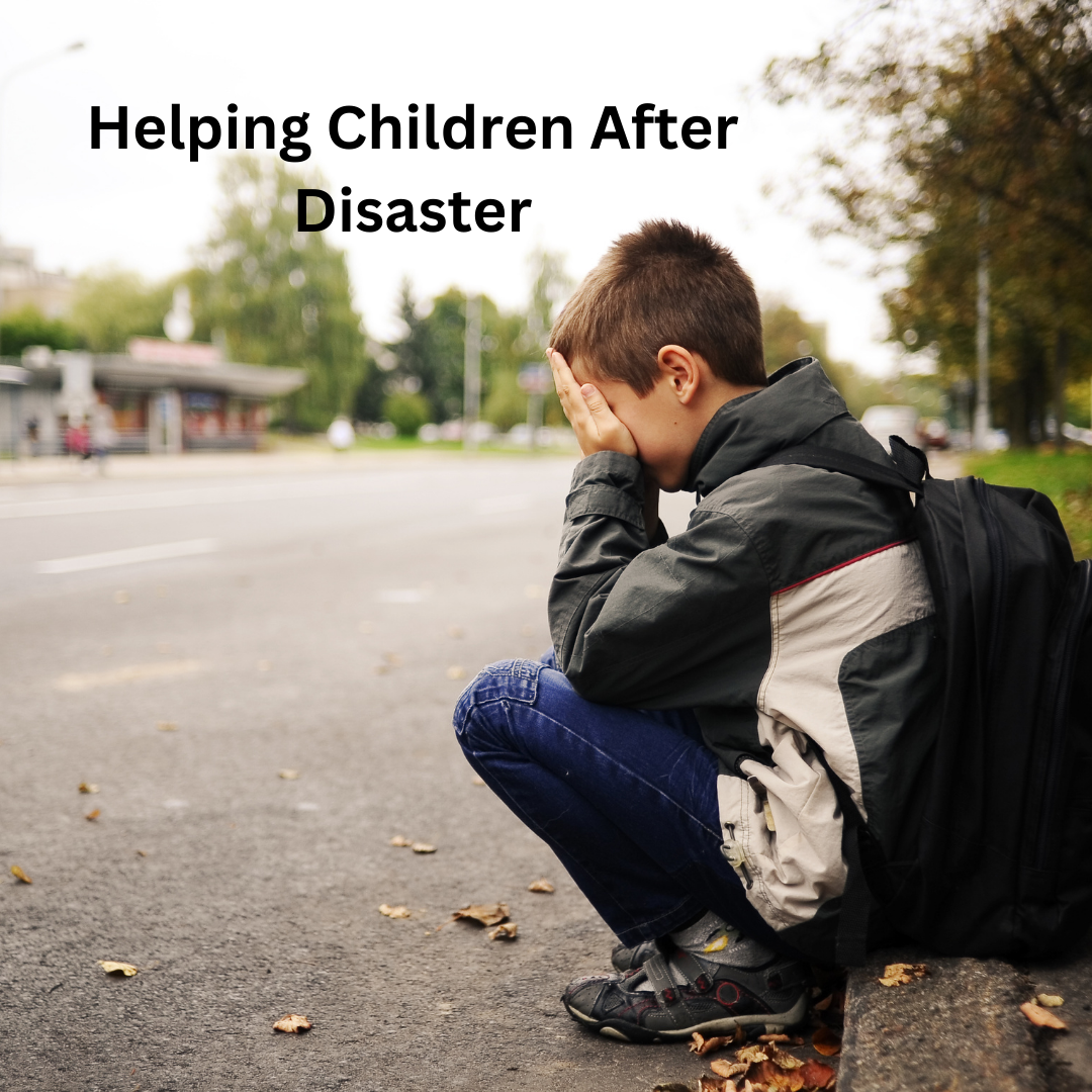 Helping Children After Disaster: A Trauma-Informed Approach For Parents & Educators image