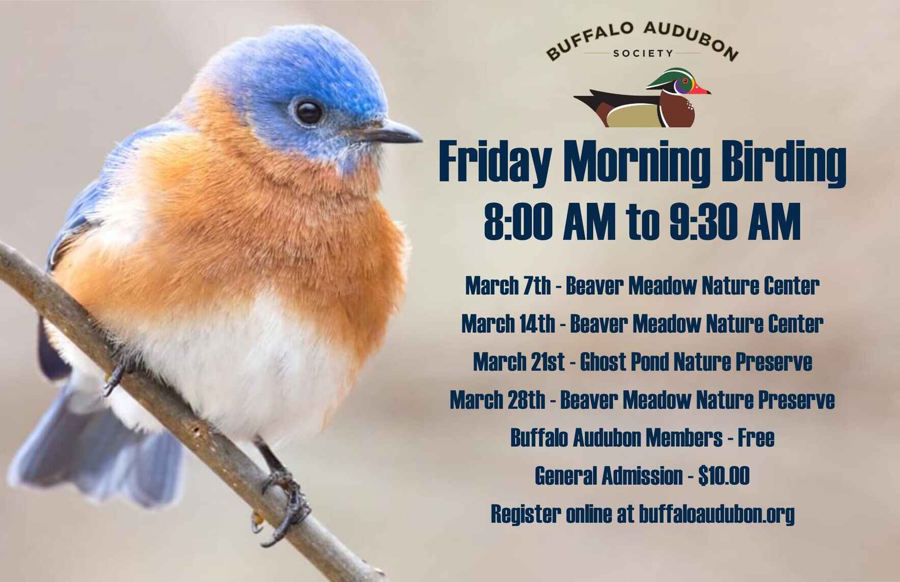 Friday Morning Birding - March 14th image