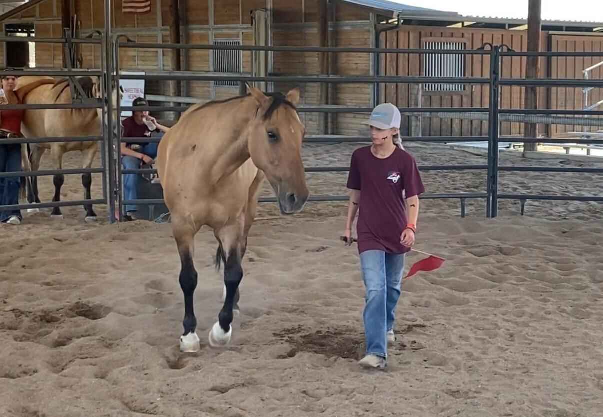 TAME Summer Girls Camp 2025 image