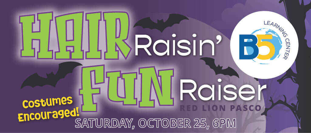 HAIRraisin' FUNraiser 2025 image