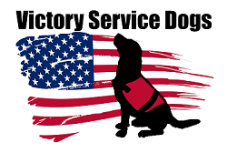 5th Annual Victory Service Dogs Golf Tournament image