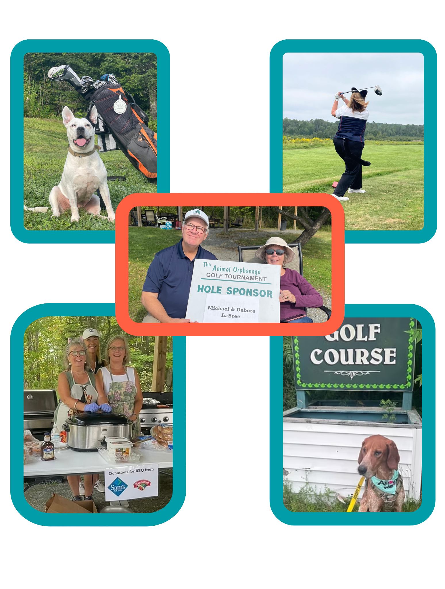 Annual Animal Orphanage Golf Tournament image