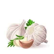 How to Plant and Harvest Garlic image