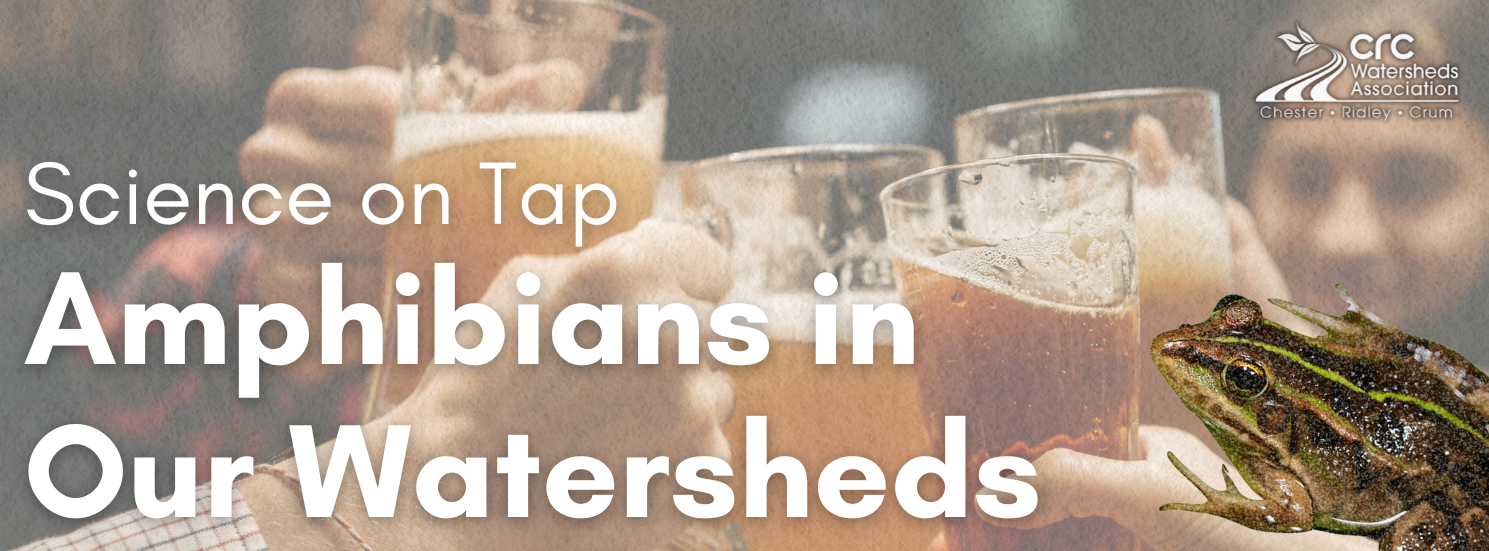 Amphibians in Our Watersheds image