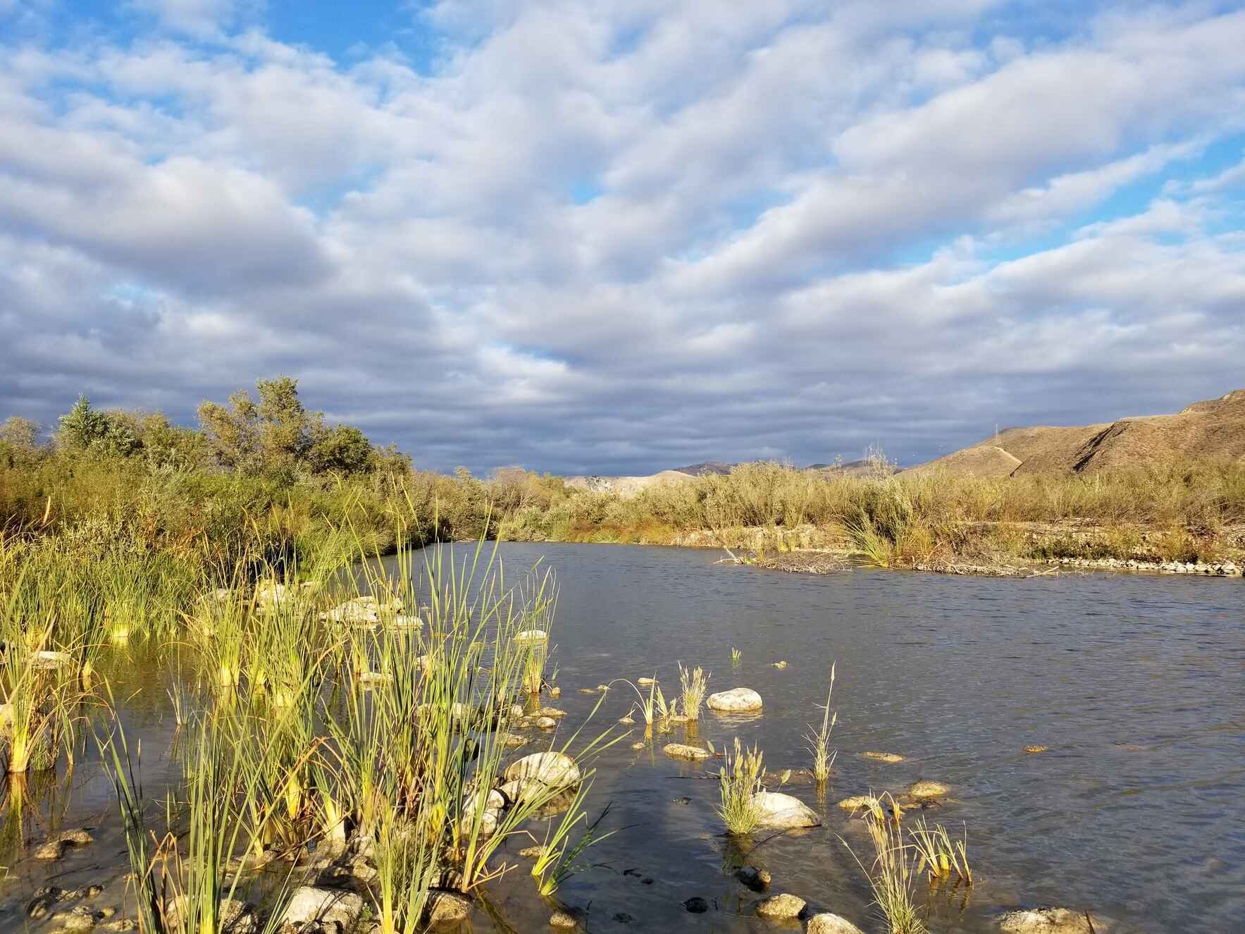 Volunteer Day at Hedrick Ranch Nature Area - April  image