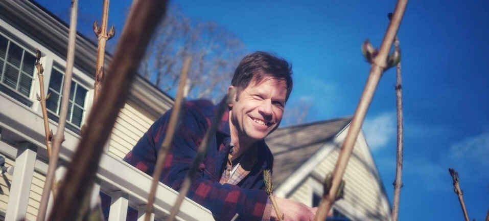 American  Elm: Chris  Bousquet image