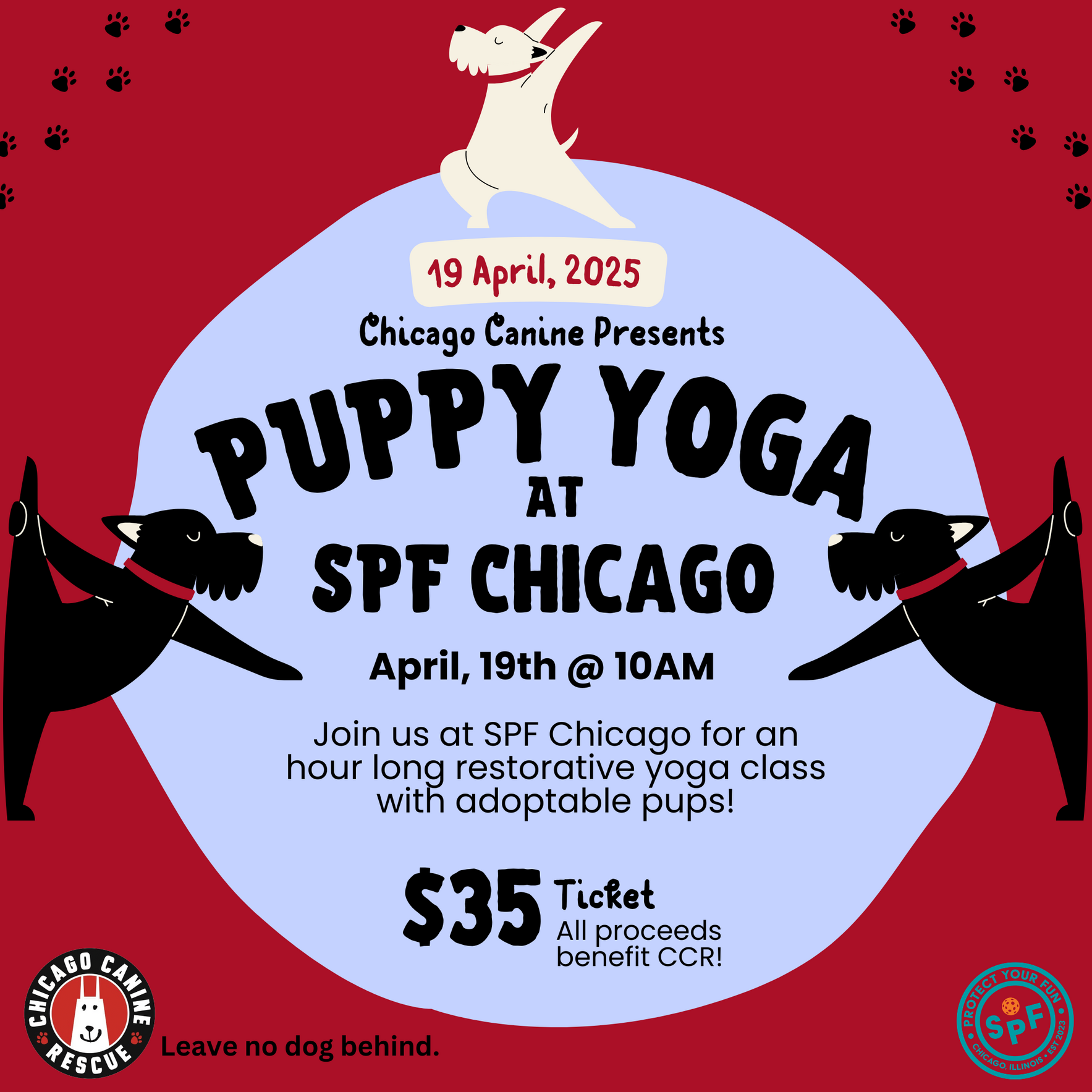 Puppy Yoga @ SPF 4/19 image
