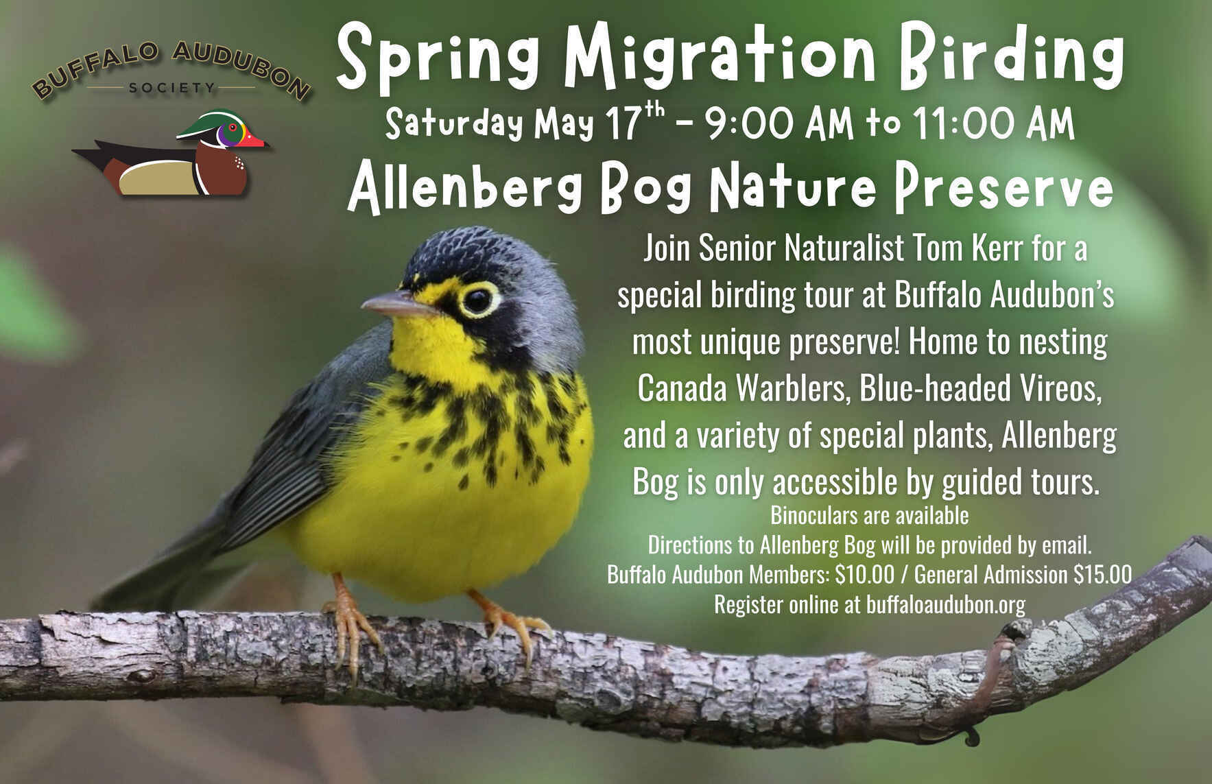Spring Migration Birding - Allenberg Bog image