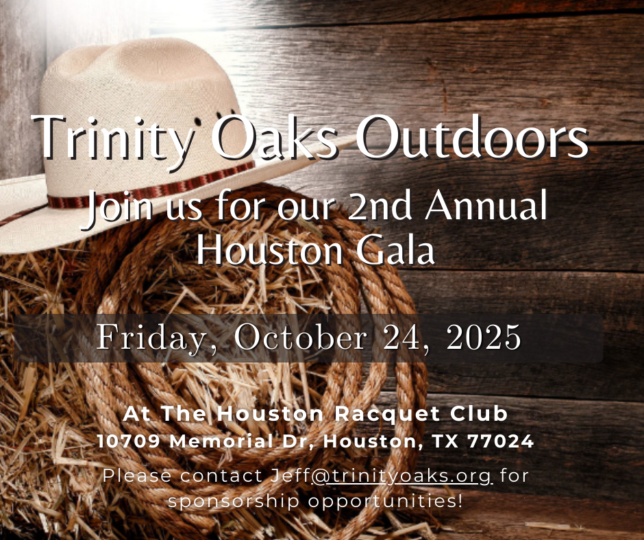 2nd Annual Houston Gala image