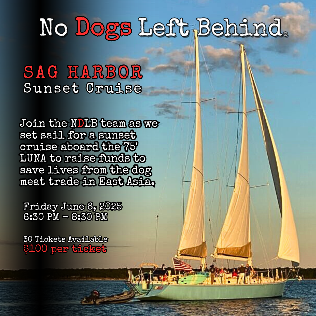 NDLB Sunset Cruise for Saving Lives image