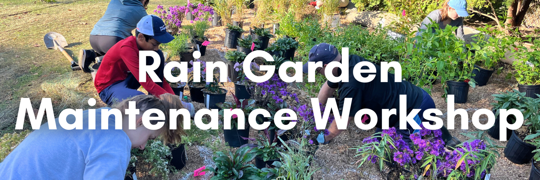 Rain Garden Maintenance Workshop in Media image
