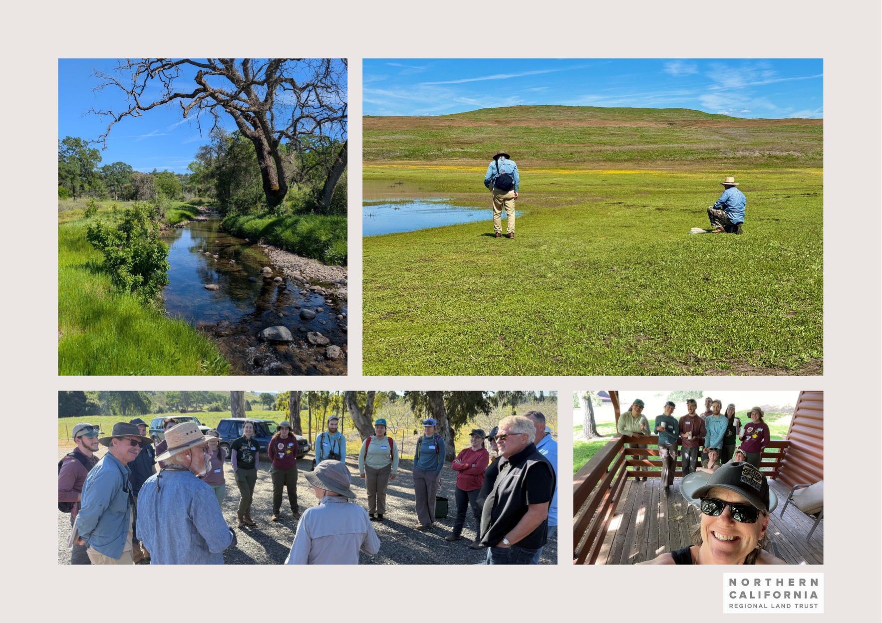 36th Anniversary Member and Supporting Member Campaign image