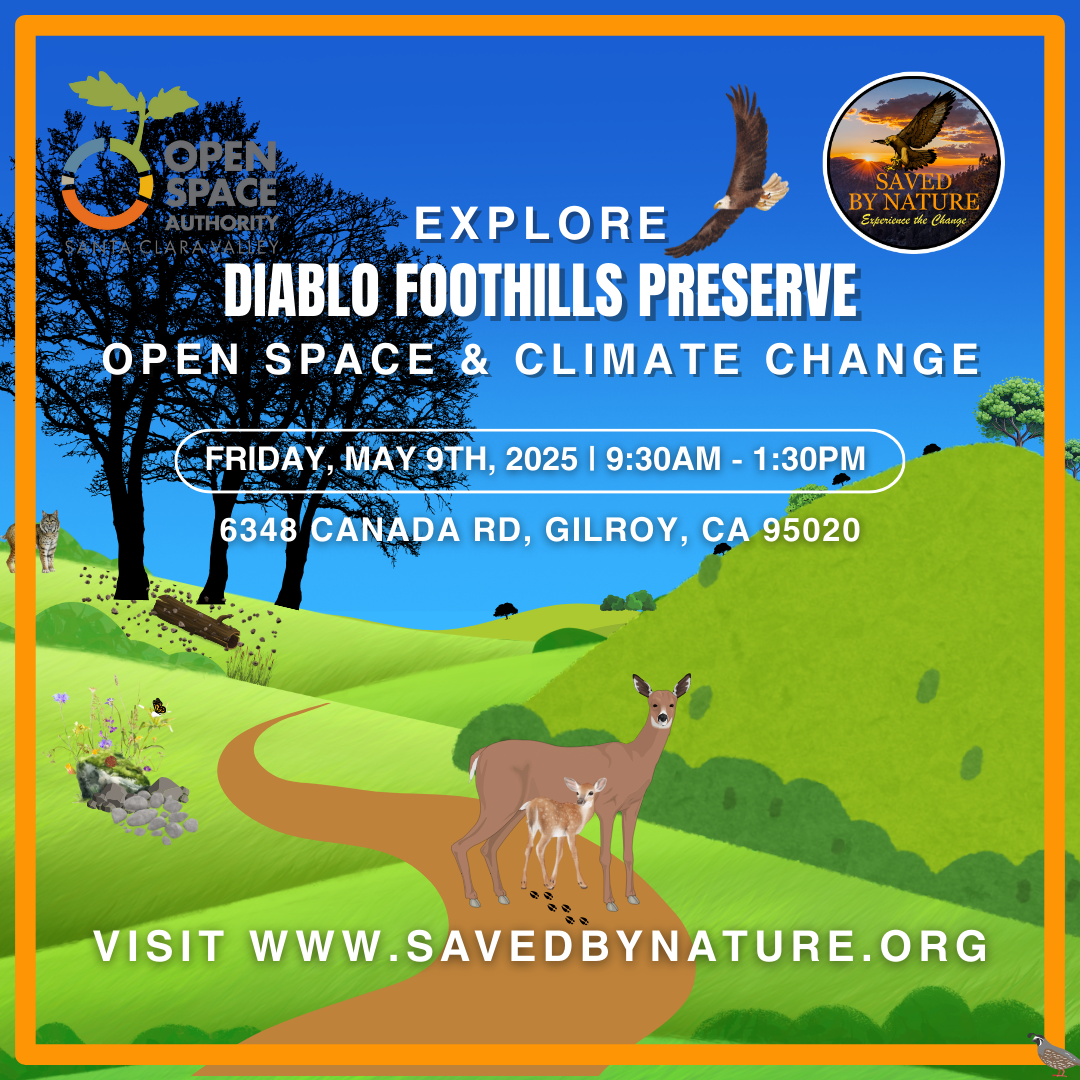 Diablo Foothills Open Space Preserve image