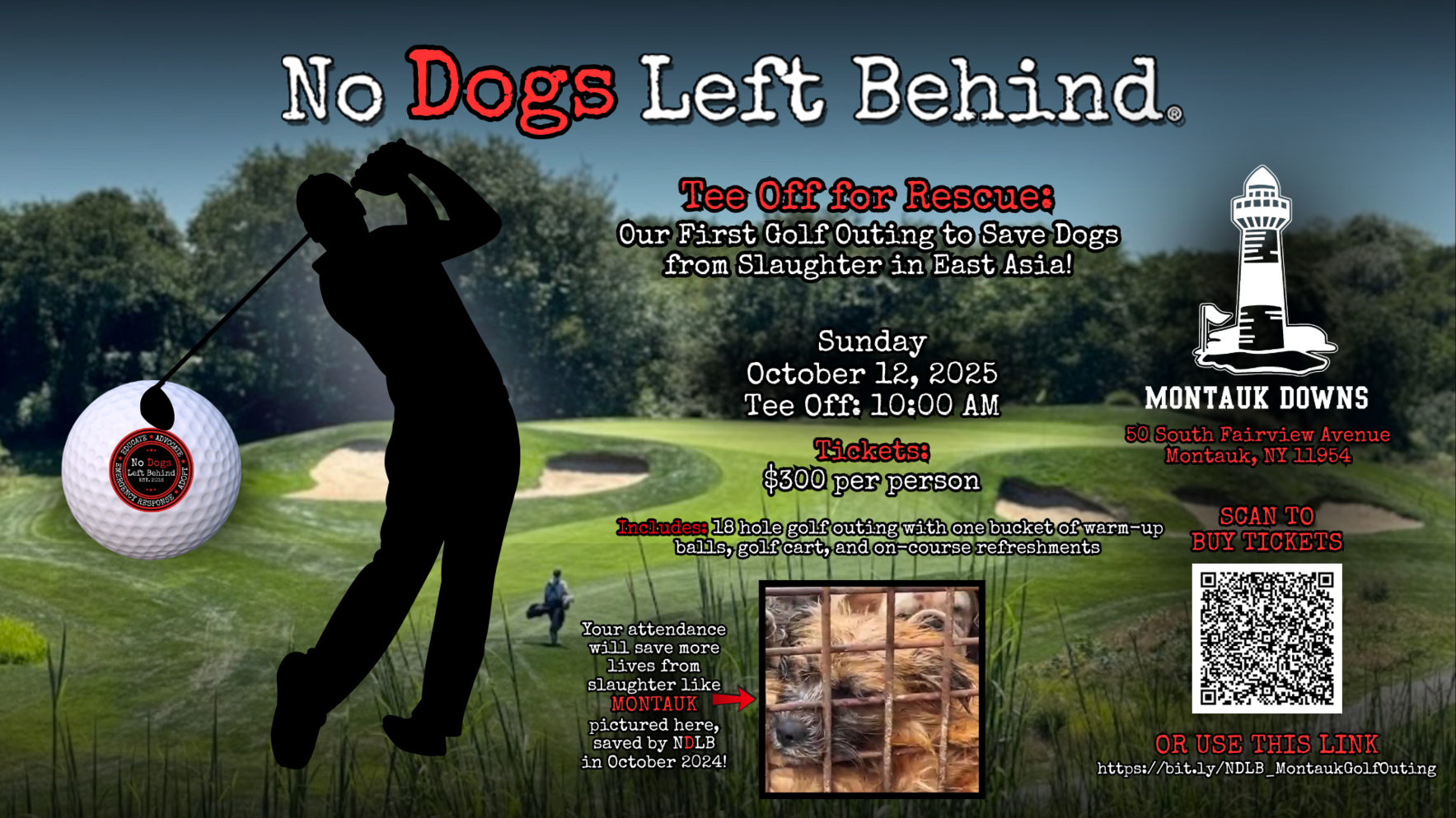 Tee Off for Rescue Golf Outing to Help Save Dogs from Slaughter in East Asia image