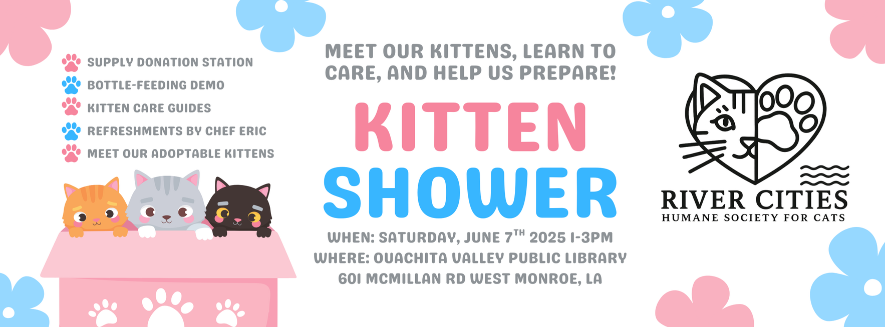 Kitten Shower June 2025 image