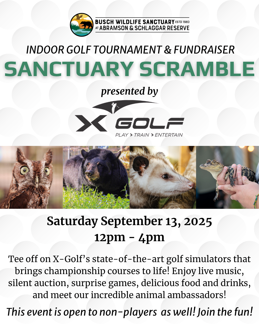 The Sanctuary Scramble image