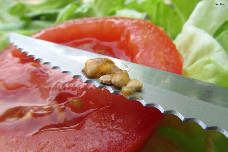 Saving Seeds and Reducing Food Waste Webinar image
