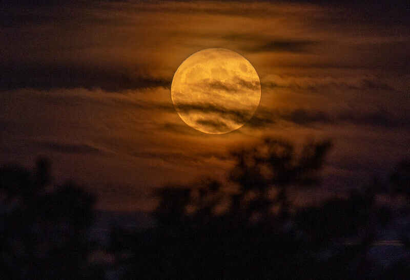 Science Stroll: Fall Equinox Walk image
