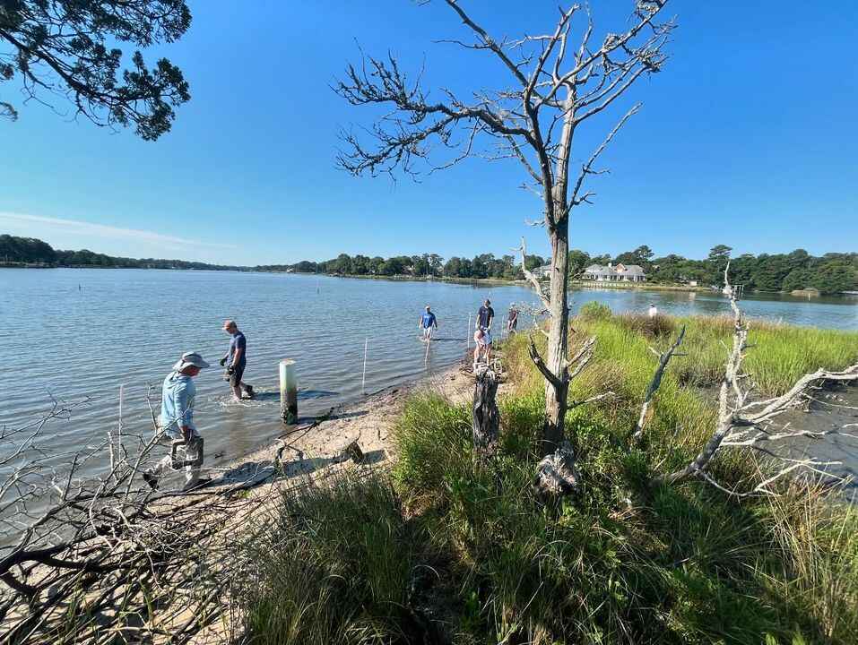 6/20/2025 Living Shoreline Project (Oyster Castles Day 1) image