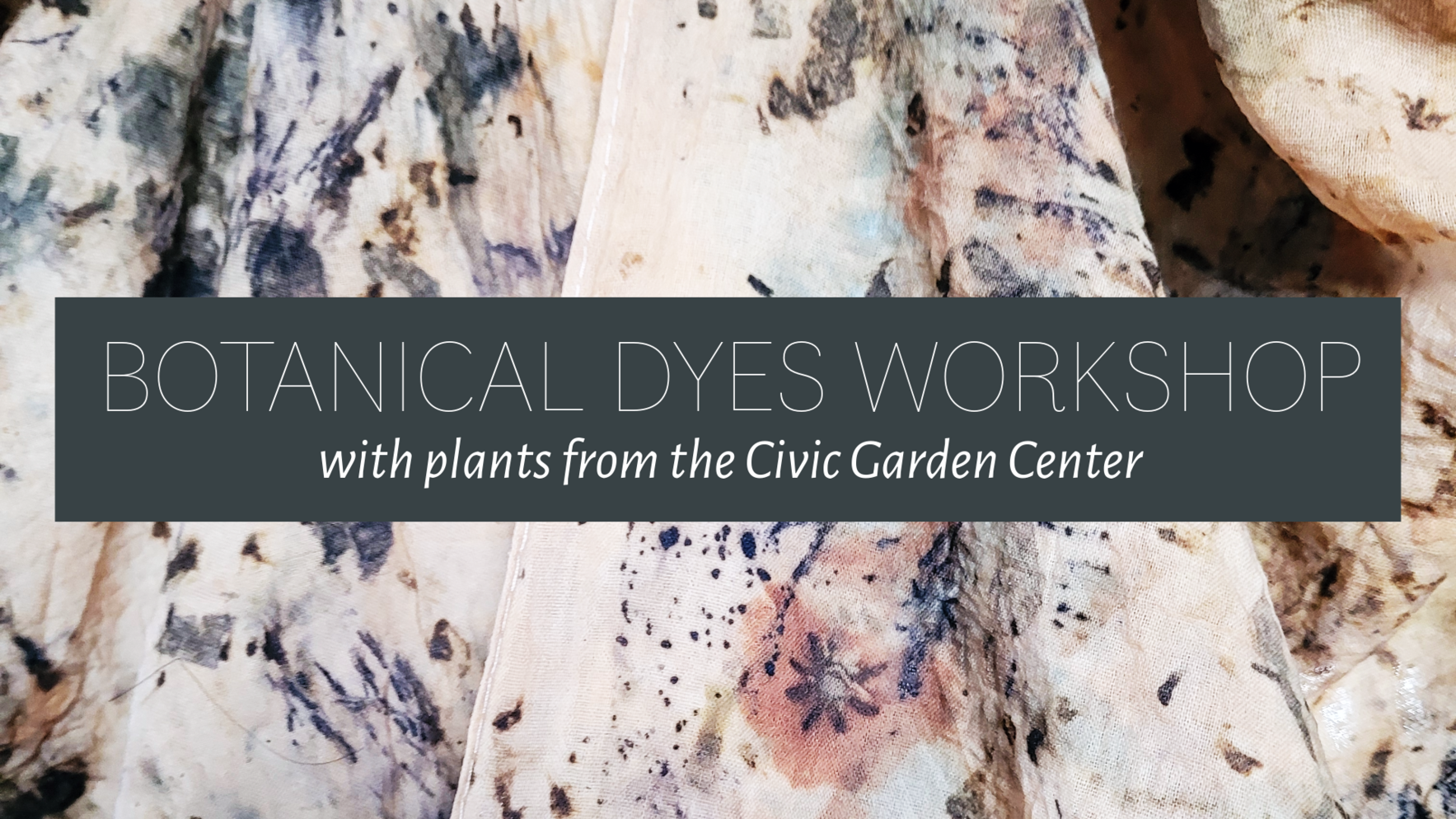 Botanical Dyes Workshop image