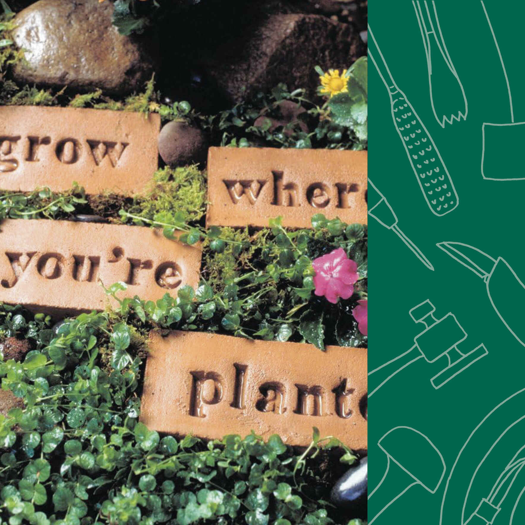 Garden Stones - Family Night image