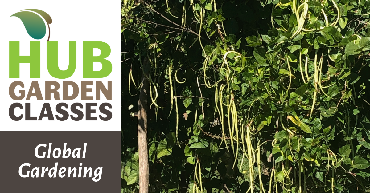 HUB Garden Class: Global Gardening image