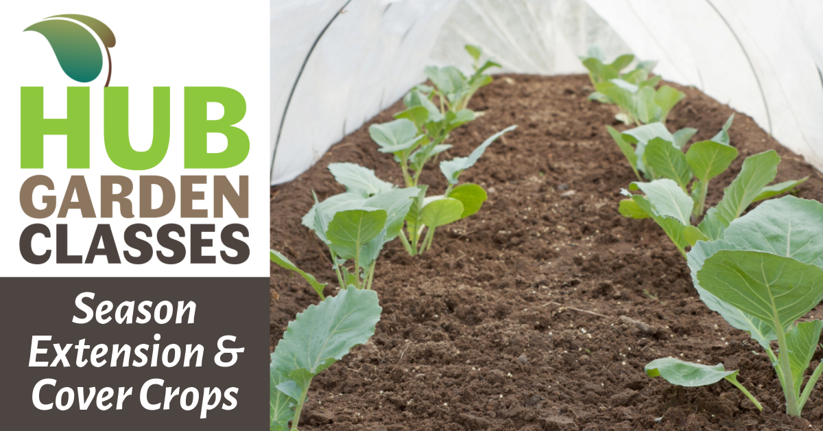 HUB Garden Class: Season Extension & Cover Crops image