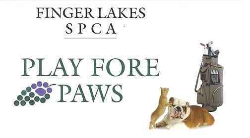 Play Fore Paws Golf Tournament 2025 image