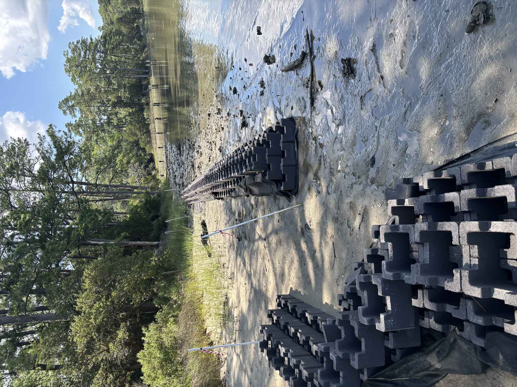 Living Shoreline Project (Day 4/4) image