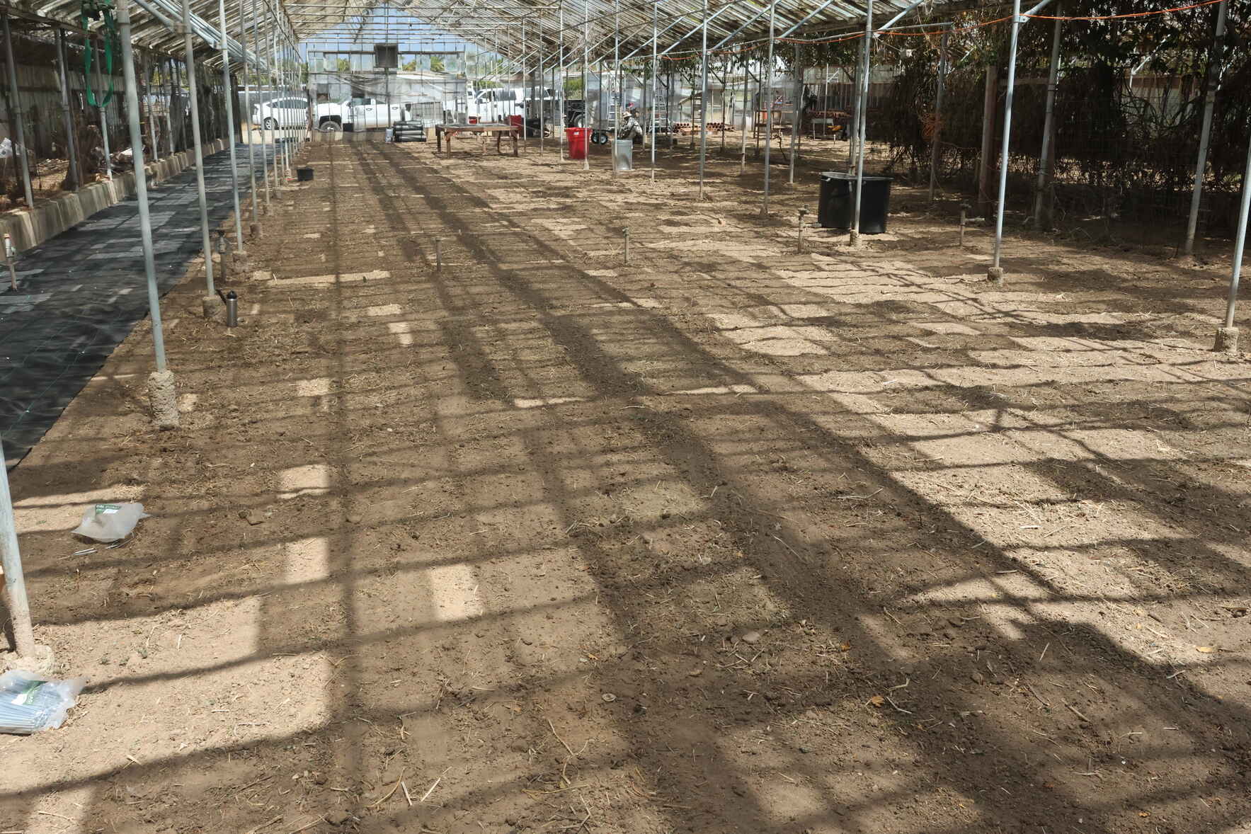 Nursey Day at our New Native Plant Nursery image