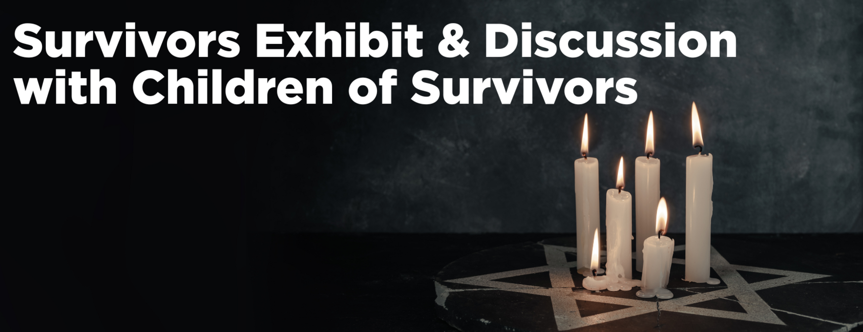 METRO - LNYS - Catskill Mountain Chapter - Survivors Exhibit - 2025 image