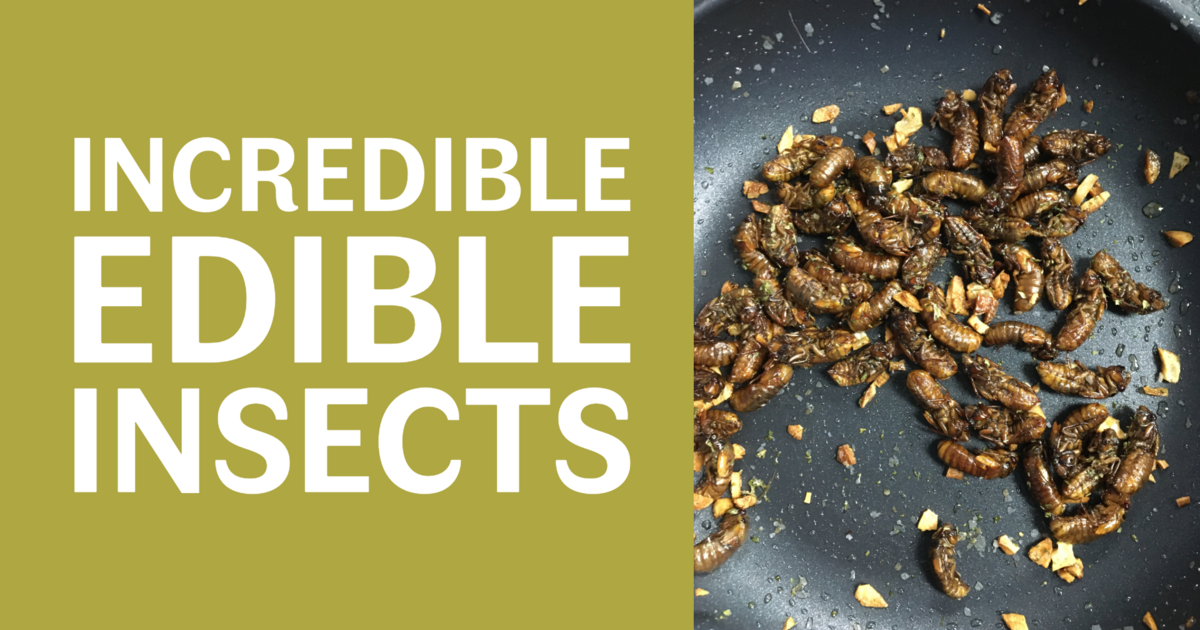 Civic Garden Center of Greater Cincinnati - Incredible Edible Insects