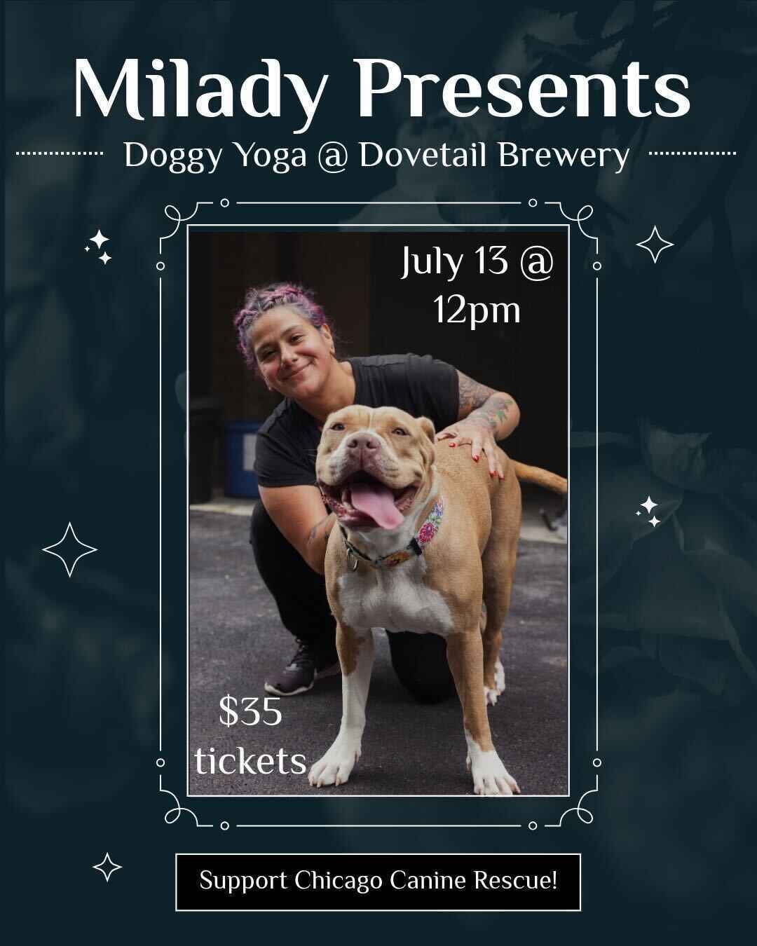 Doggy Yoga with Milady, Teriyaki + Persimmon! image