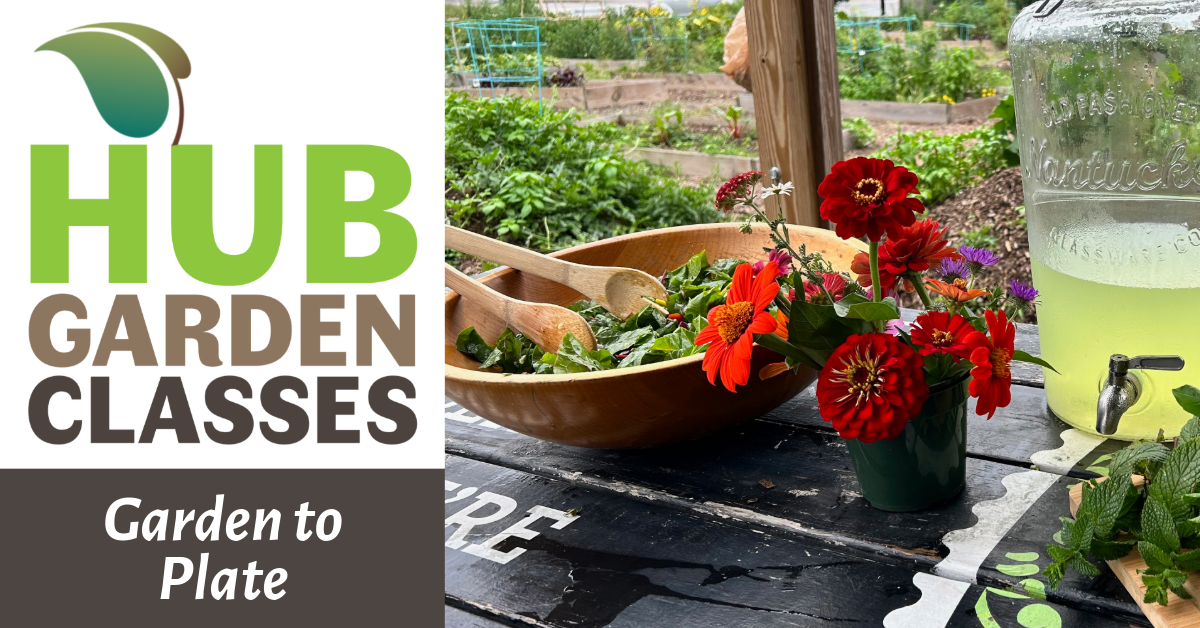 HUB Garden Class: Garden to Plate (Northgate) image