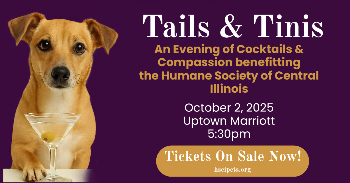 Tails & Tinis: A Cocktail Competition image