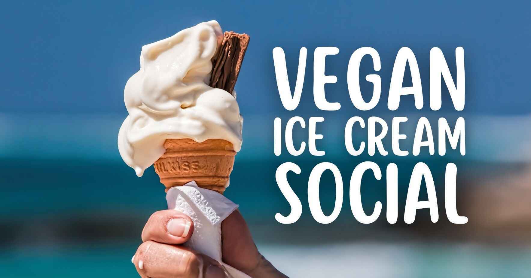 Vegan Ice Cream Social - July 2025 image