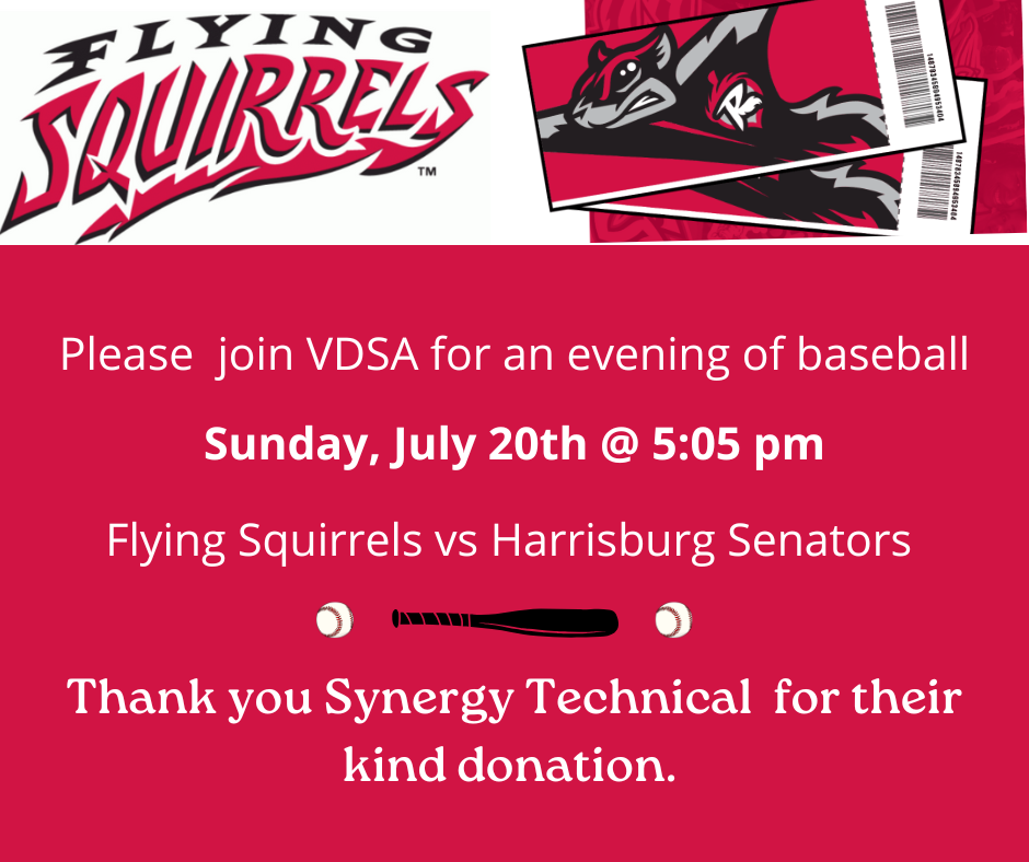 Flying Squirrels Baseball Game image