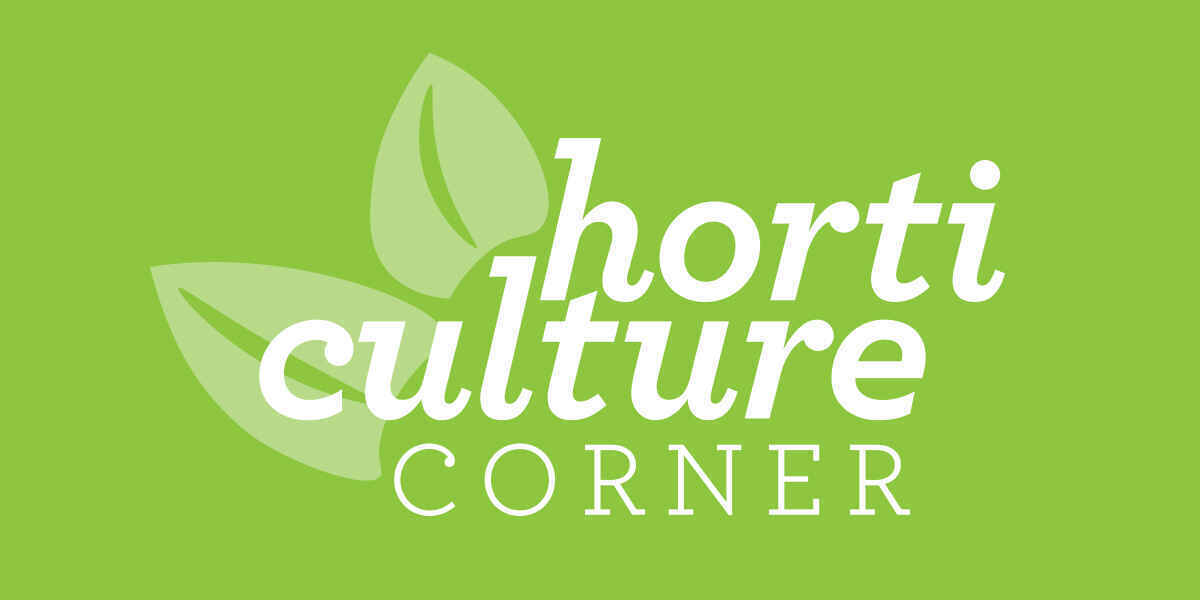 Horticulture Corner: Urban Farms & Gardens image