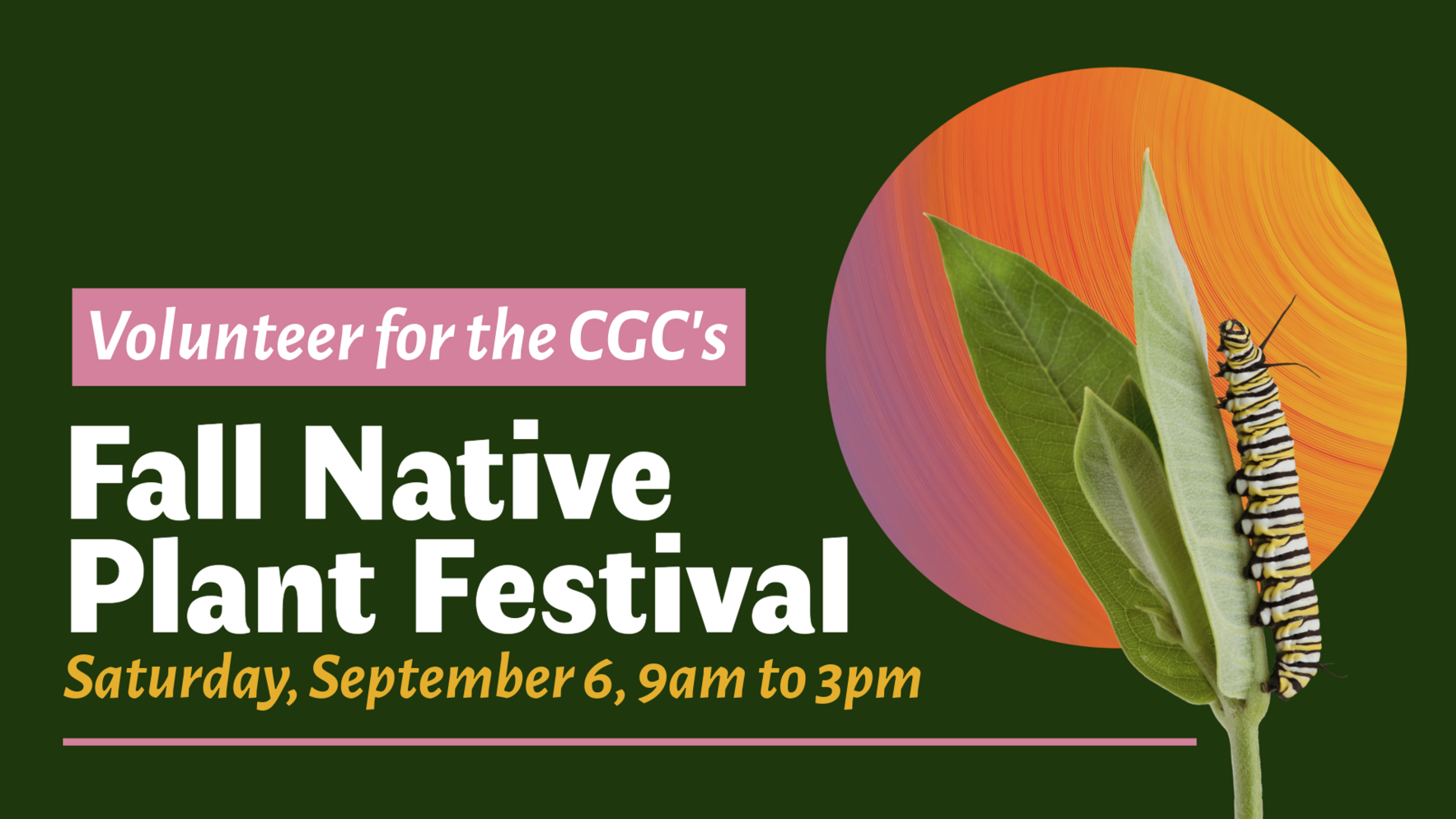 Fall Native Plant Festival Prep 2025 - Thursday image