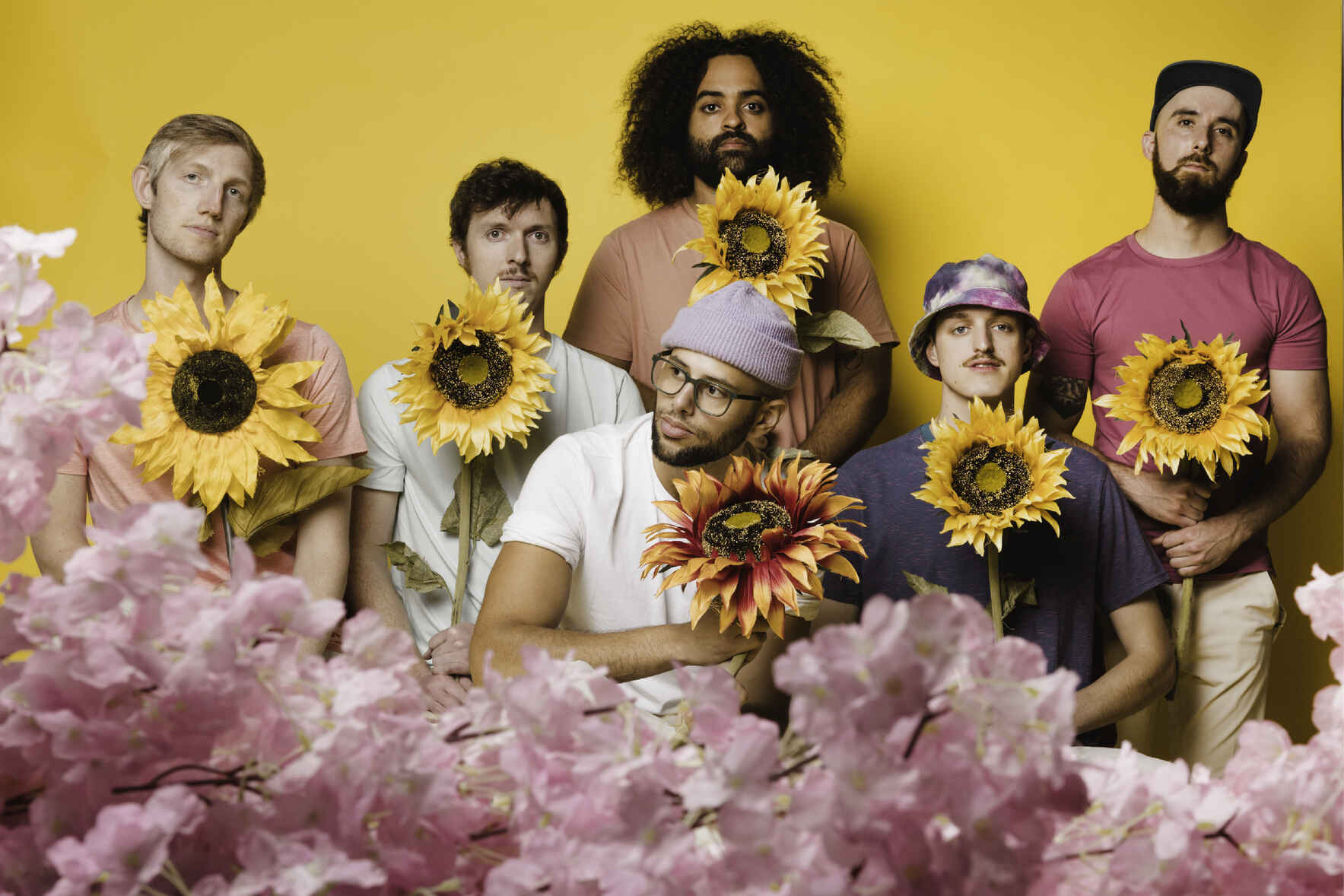 Joe Hertler & The Rainbow Seekers image