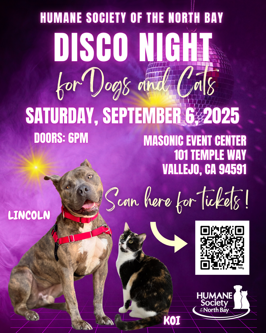 Disco Night For Our Dogs and Cats image