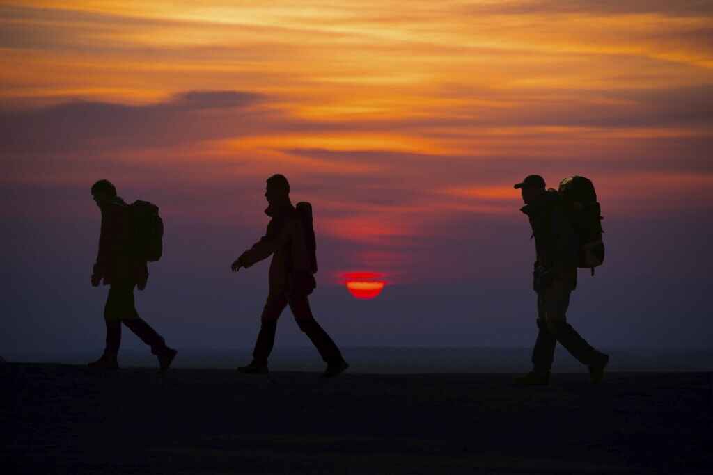 Bubolz Night Hike image